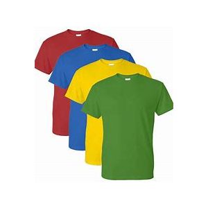 Harris primary Orpington PE T-shirt house colour 