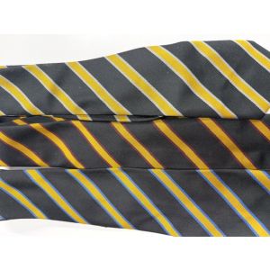 Leigh Academy Bexley tie 
