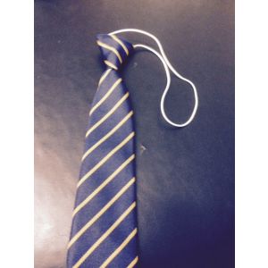 Notre Dame Tie (Elastic) 