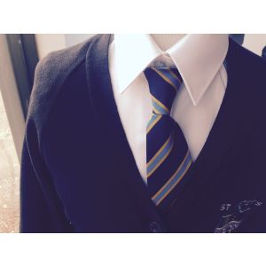 Our Lady of the Rosary Tie  (Elastic) 