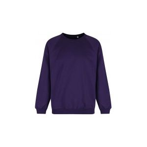 Christ Church C of E  Sweatshirt with school logo 